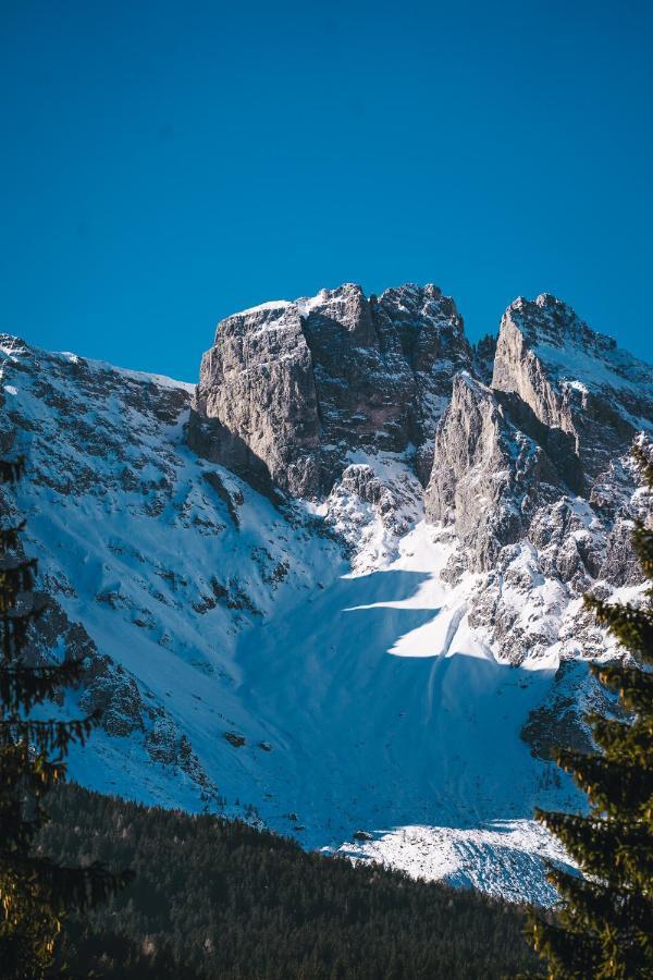 Laerchenwirt Dolomites Apartment *