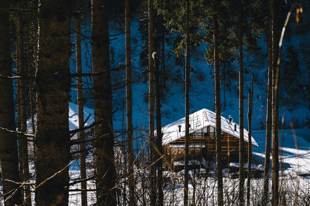 Lärchenwirt Dolomites Apartment San Nicolo di Comelico