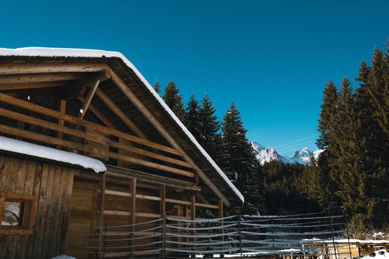 Laerchenwirt Dolomites Apartment