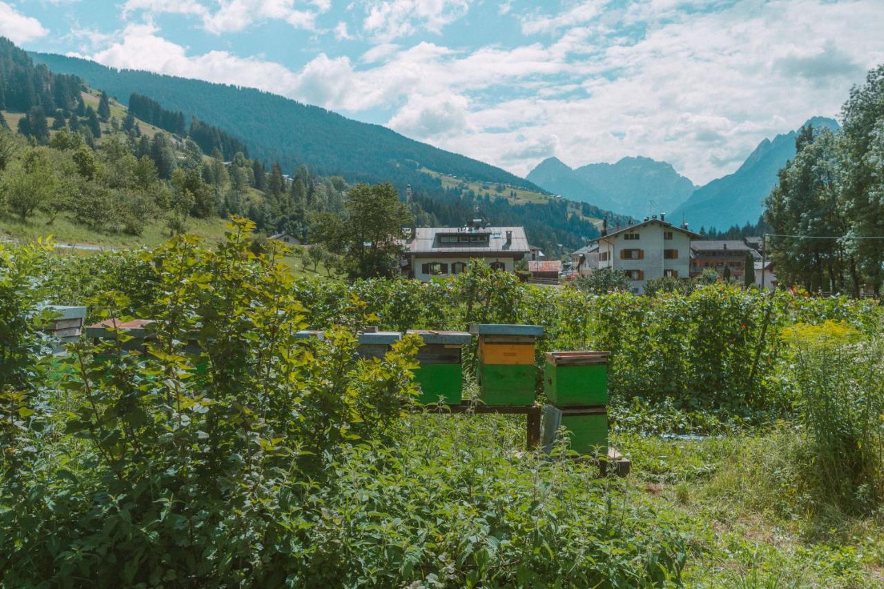 Apartment Laerchenwirt Dolomites *